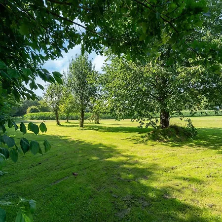 In Limburg With Terrace, Cleaning Included Holiday home Schinnen